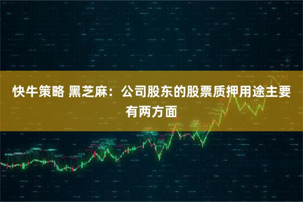 快牛策略 黑芝麻：公司股东的股票质押用途主要有两方面